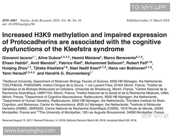 杜姓足球明星的成就与影响力探讨及其在国际足坛的地位分析 杜姓足球明星的成就与影响力探讨及其在国际足坛的地位分析