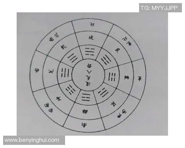探索任意球足球场的战术奥秘与技巧提升之道